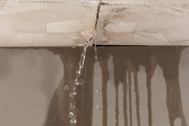 Professional Water Extraction technician working in Georgetown, IN